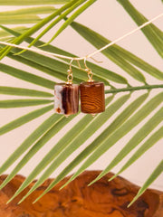 Earthline Earrings